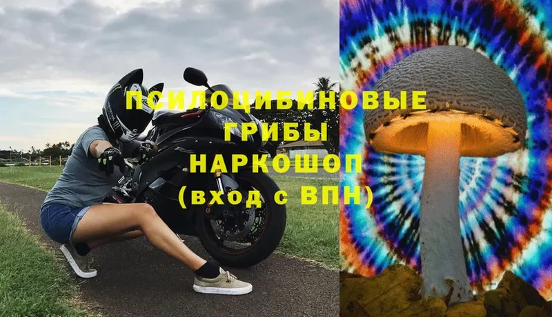 где купить   ссылка на мегу как войти  Галлюциногенные грибы Psilocybine cubensis  Разумное 